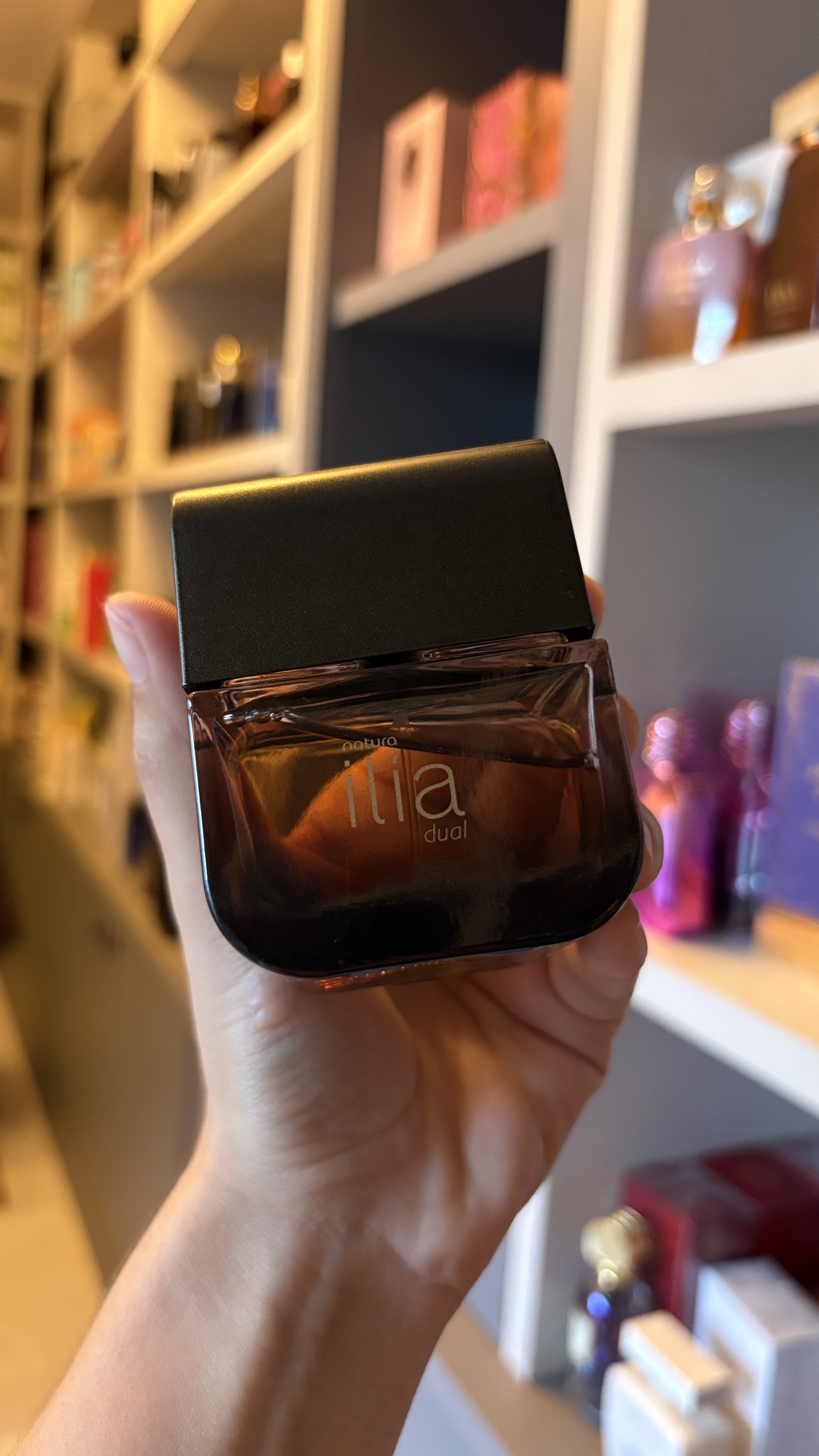 Ilia dual